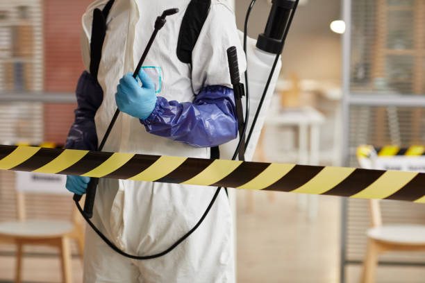 Professional Sewage Cleanup technician working in Siloam Springs, AR